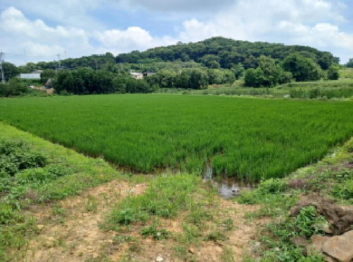 충남 당진시 석문면 답 경매 물건 사진