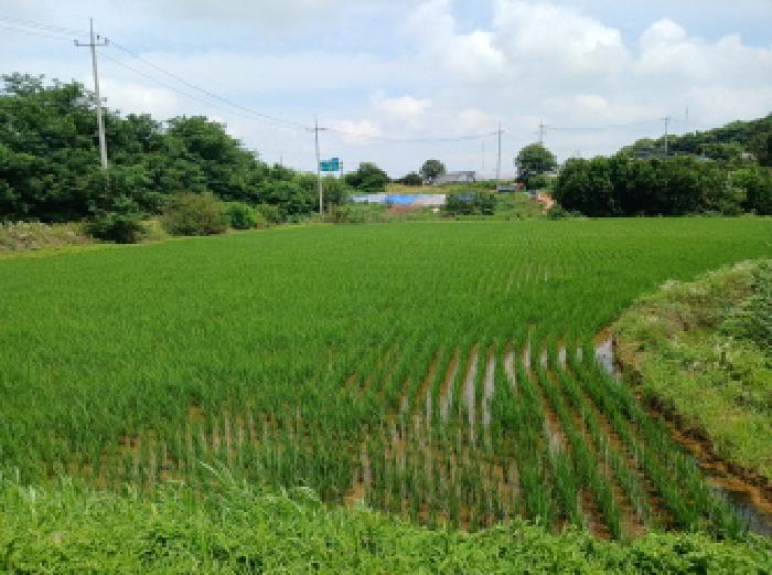 충남 당진시 석문면 답 경매 물건 사진 2 · 2025타경704