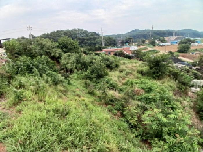 충남 당진시 석문면 전 경매 물건 사진 2 · 2025타경711
