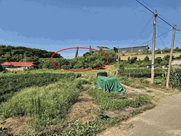 충남 당진시 석문면 전 경매 물건 사진 3 · 2025타경711