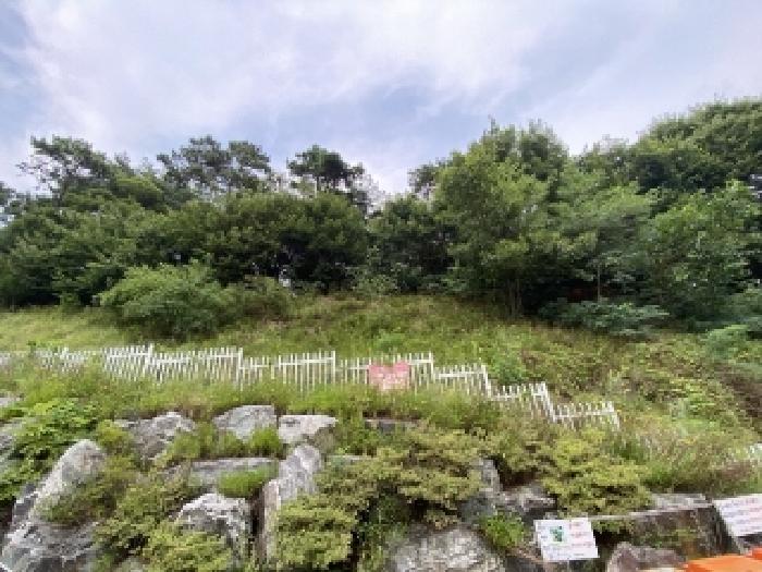 충남 당진시 송산면 임야 경매 물건 사진 2 · 2025타경727