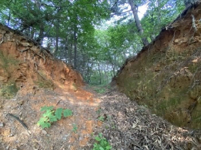 충남 당진시 송산면 임야 경매 물건 사진 4 · 2025타경727