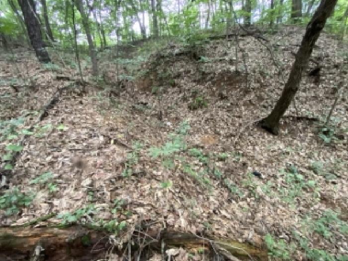 충남 당진시 송산면 임야 경매 물건 사진 6 · 2025타경727