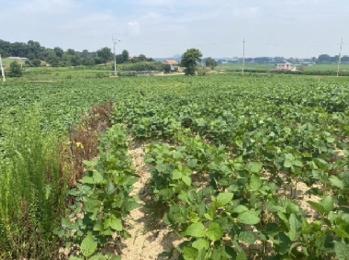 충남 당진시 신평면 임야 경매 물건 사진 2 · 2025타경729