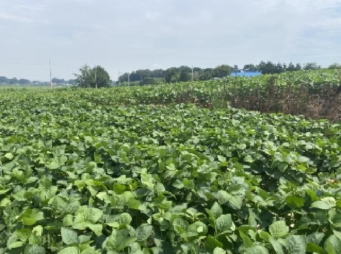 충남 당진시 신평면 임야 경매 물건 사진 4 · 2025타경729