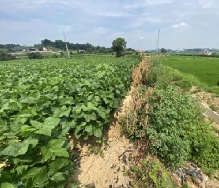 충남 당진시 신평면 임야 경매 물건 사진 6 · 2025타경729