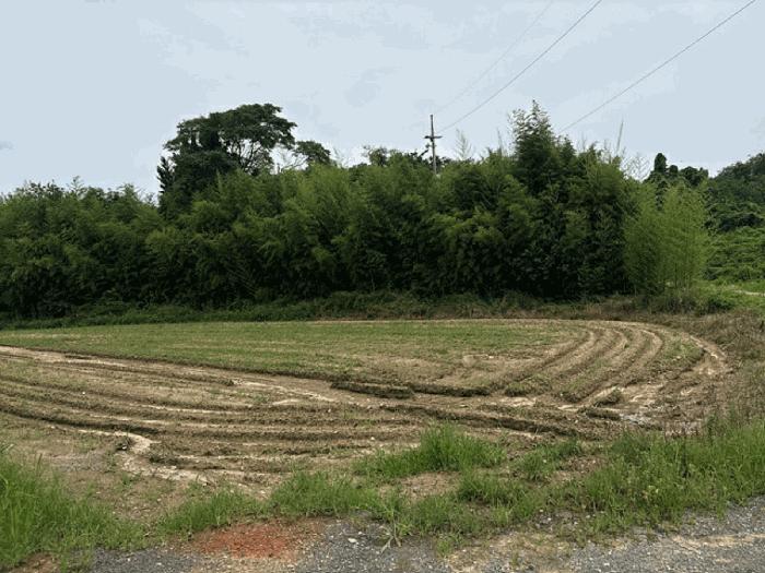 충남 당진시 송악읍 전 경매 물건 사진 2 · 2025타경731
