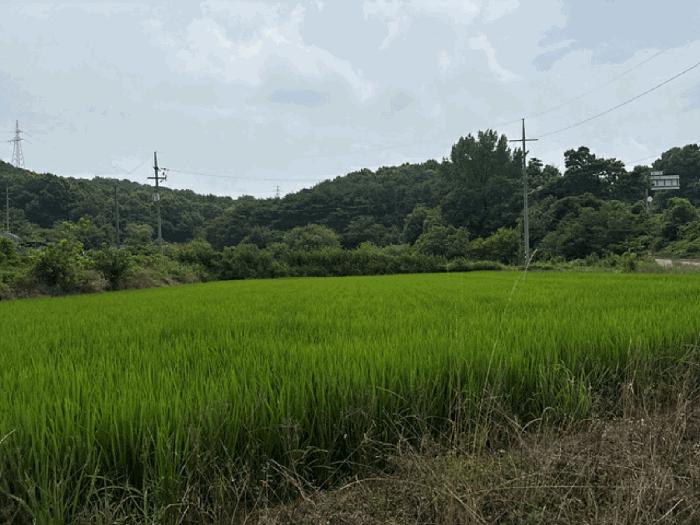 충남 당진시 송악읍 전 경매 물건 사진 6 · 2025타경731