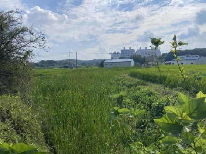 충남 당진시 송악읍 전답 경매 물건 사진