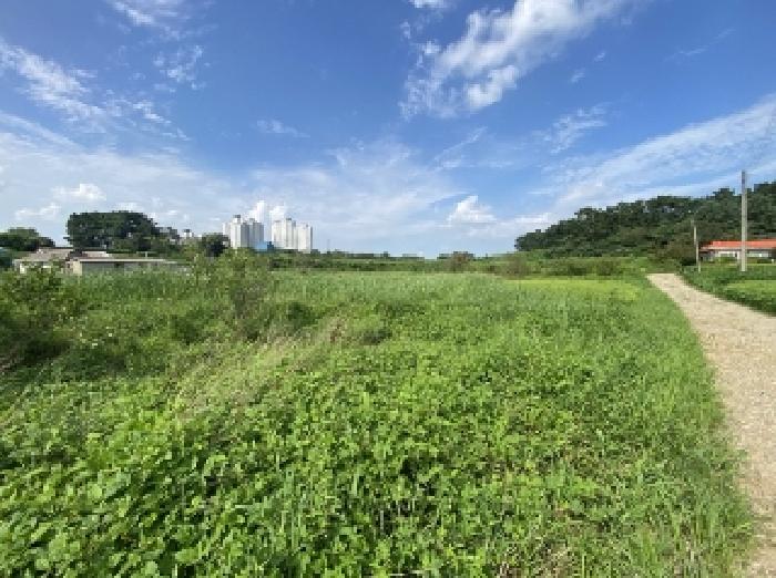 충남 당진시 송악읍 전답 경매 물건 사진 4 · 2025타경734
