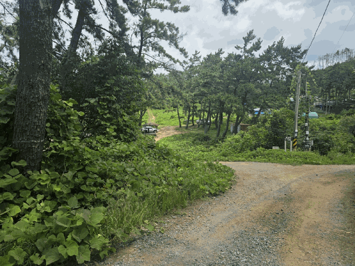 충청남도 태안군 이원면 내리 965-8 임야 경매 물건 사진