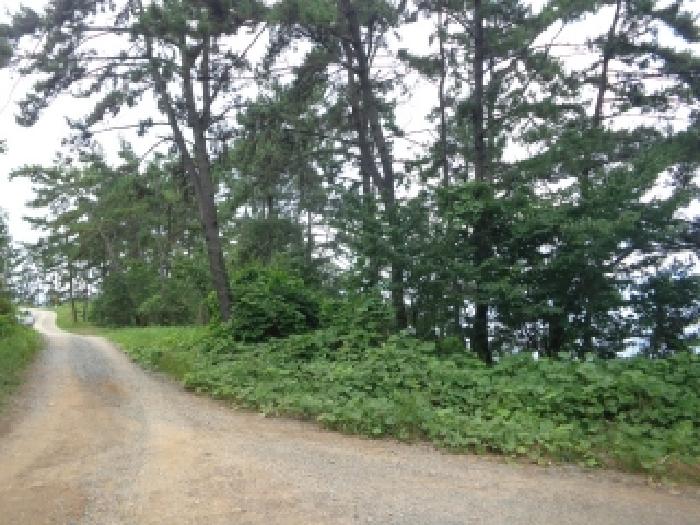 충남 태안군 이원면 임야 경매 물건 사진 2 · 2025타경750