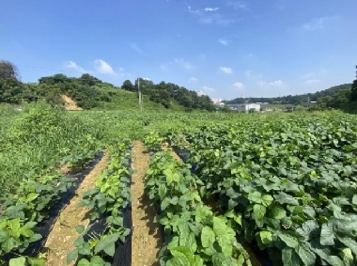 충남 당진시 송악읍 대지,임야,전답 경매 물건 사진 2 · 2025타경757