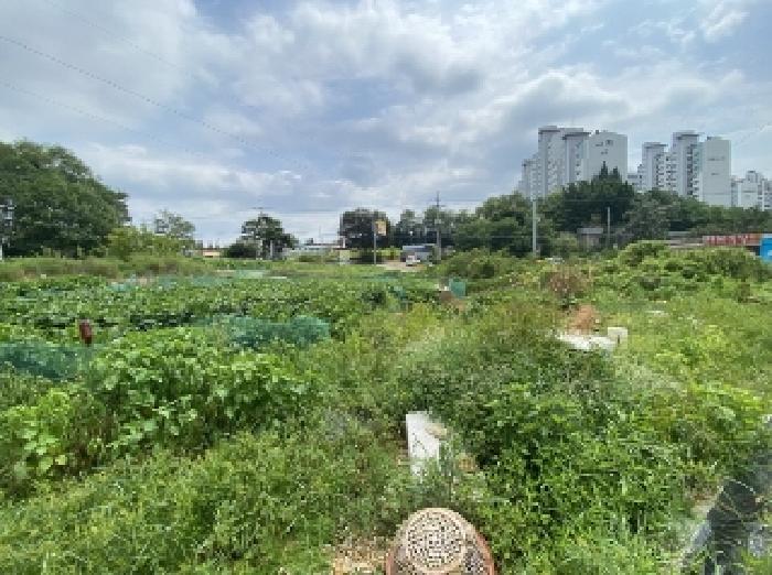충남 당진시 송악읍 답 경매 물건 사진 4 · 2025타경760
