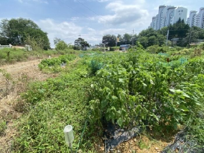 충남 당진시 송악읍 답 경매 물건 사진 6 · 2025타경760