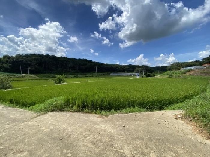 충남 당진시 송악읍 전답 경매 물건 사진 5 · 2025타경765