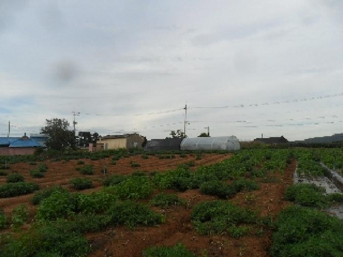 충남 서산시 부석면 대지,임야,전답 경매 물건 사진 4 · 2025타경767