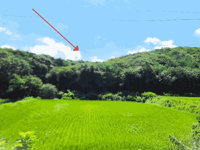 충남 당진시 대호지면 임야 경매 물건 사진 5 · 2025타경779