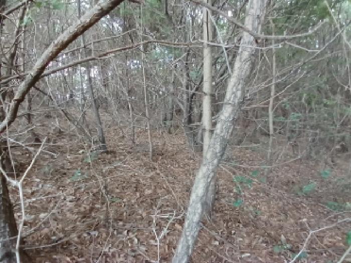 충남 당진시 대호지면 임야 경매 물건 사진 3 · 2025타경779