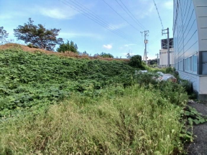 충남 당진시 고대면 창고시설 경매 물건 사진 3 · 2025타경782
