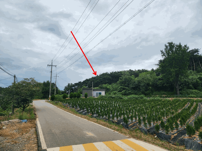 충남 당진시 송악읍 임야 경매 물건 사진 5 · 2025타경783