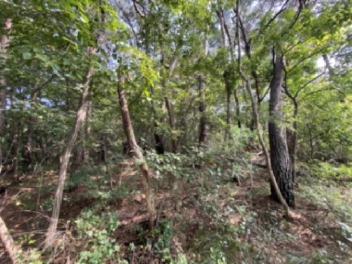 충남 당진시 송악읍 임야 경매 물건 사진