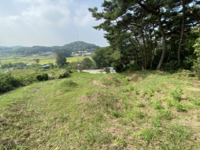 충남 당진시 송악읍 임야 경매 물건 사진 2 · 2025타경783