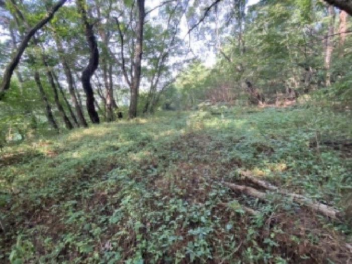 충남 당진시 송악읍 임야 경매 물건 사진 3 · 2025타경783