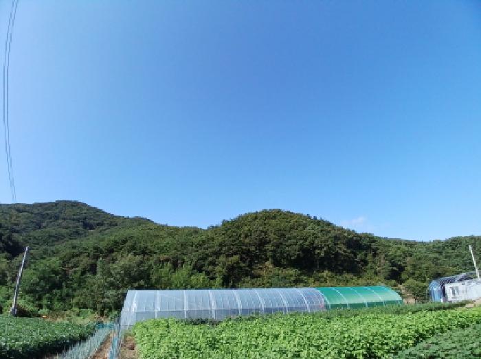 충남 서산시 운산면 임야 경매 물건 사진