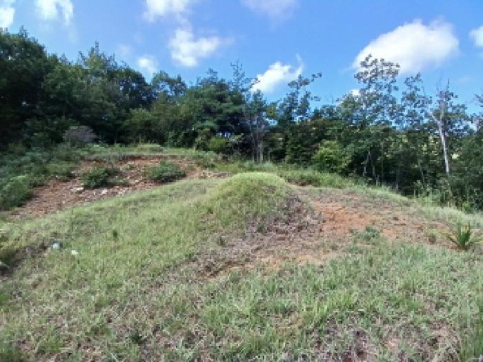 충남 서산시 운산면 임야 경매 물건 사진 3 · 2025타경788