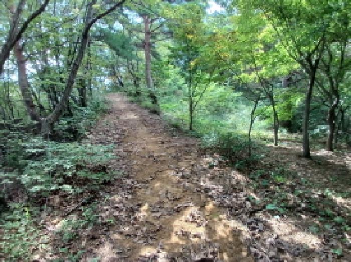 충남 서산시 운산면 임야 경매 물건 사진 6 · 2025타경788