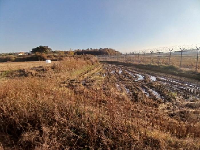 충남 당진시 석문면 임야 경매 물건 사진 3 · 2025타경794