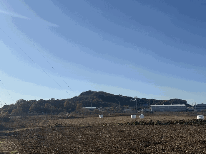 충남 당진시 석문면 임야 경매 물건 사진 4 · 2025타경794