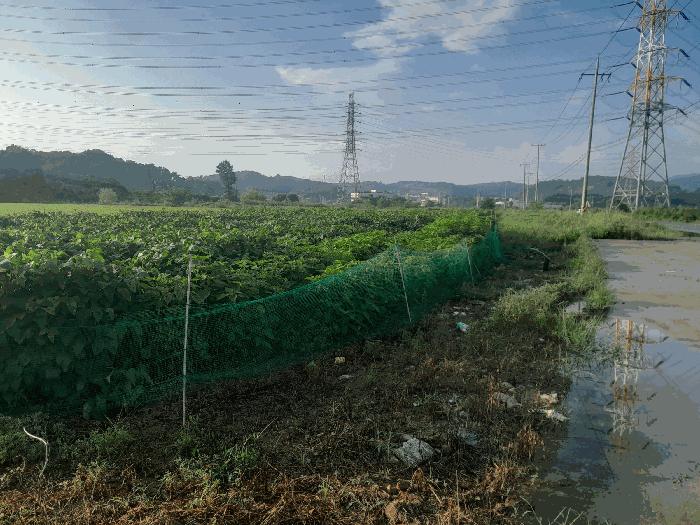 충남 당진시 송악읍 답 경매 물건 사진 4 · 2025타경796