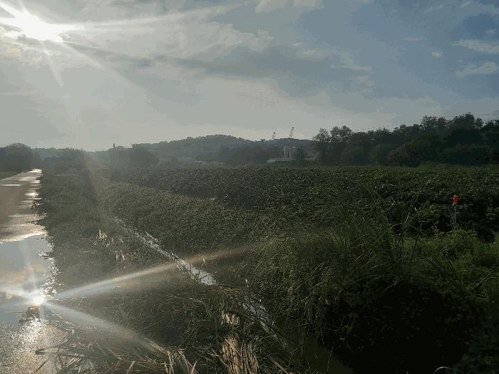 충남 당진시 송악읍 답 경매 물건 사진 6 · 2025타경796