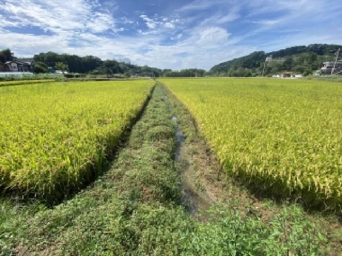 충남 당진시 원당동 전답 경매 물건 사진 3 · 2025타경798