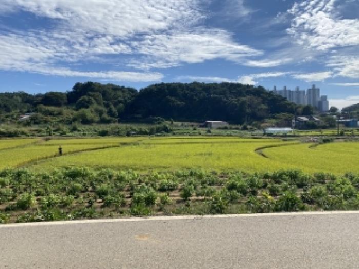충남 당진시 원당동 전답 경매 물건 사진 4 · 2025타경798