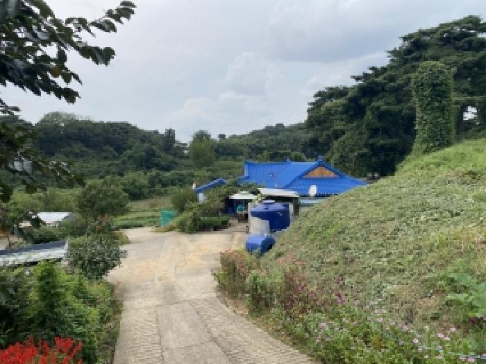 충남 당진시 송악읍 전답 경매 물건 사진 2 · 2025타경800