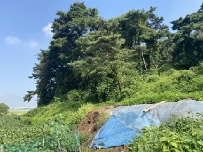 충남 당진시 송악읍 전답 경매 물건 사진 5 · 2025타경800