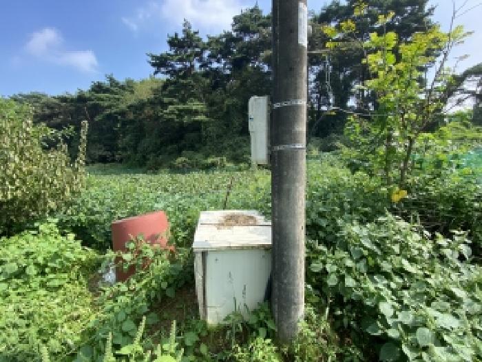 충남 당진시 송악읍 전답 경매 물건 사진 6 · 2025타경800