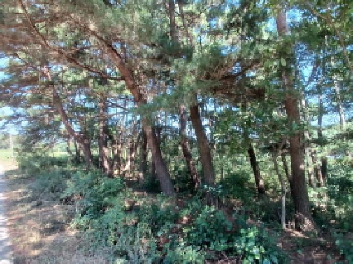 충남 당진시 정미면 대지 경매 물건 사진