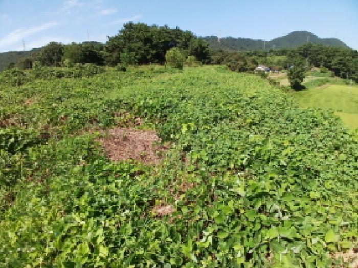 충남 당진시 정미면 대지 경매 물건 사진 3 · 2025타경806