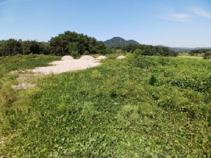 충남 당진시 정미면 대지 경매 물건 사진 6 · 2025타경806