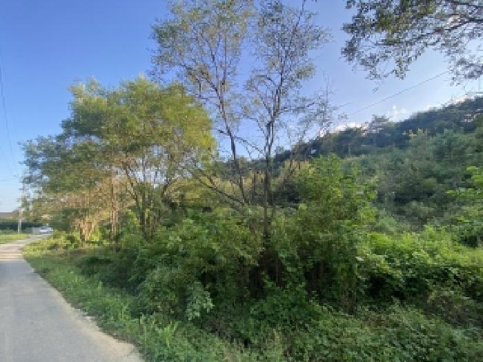 충남 당진시 송악읍 임야 경매 물건 사진 4 · 2025타경813