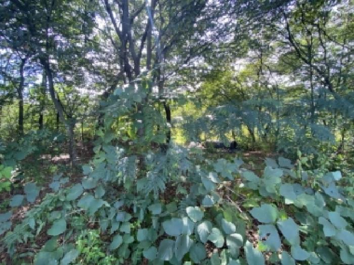 충남 당진시 시곡동 대지,임야,전답 경매 물건 사진 2 · 2025타경828