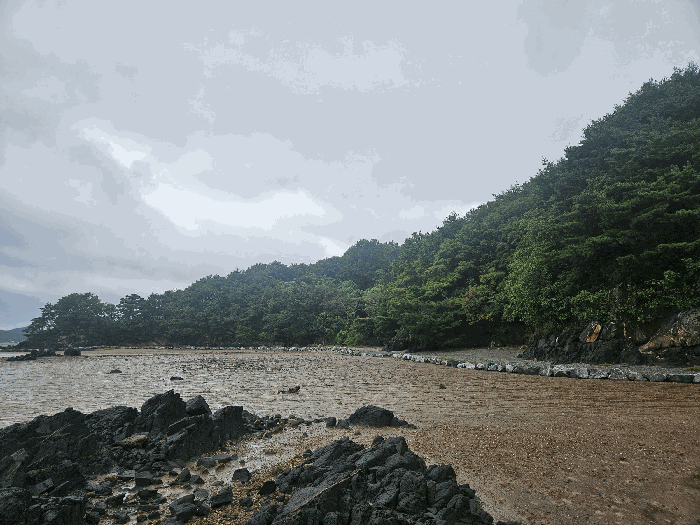 충청남도 서산시 지곡면 환성리 846-16 임야 경매 물건 사진