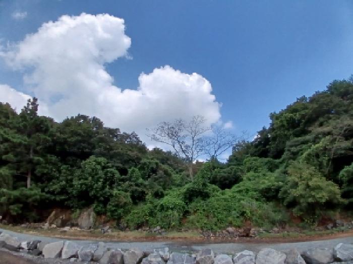 충남 서산시 지곡면 임야 경매 물건 사진 6 · 2025타경830