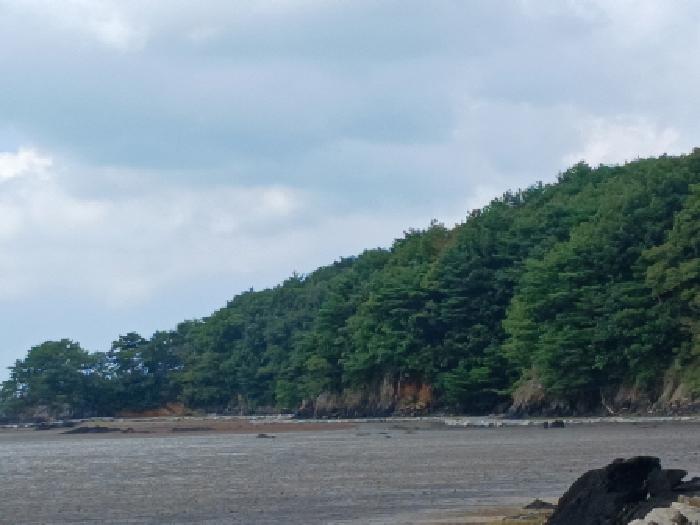 충남 서산시 지곡면 임야 경매 물건 사진