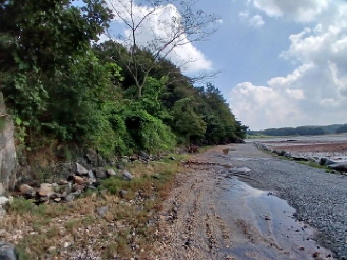 충남 서산시 지곡면 임야 경매 물건 사진 3 · 2025타경830