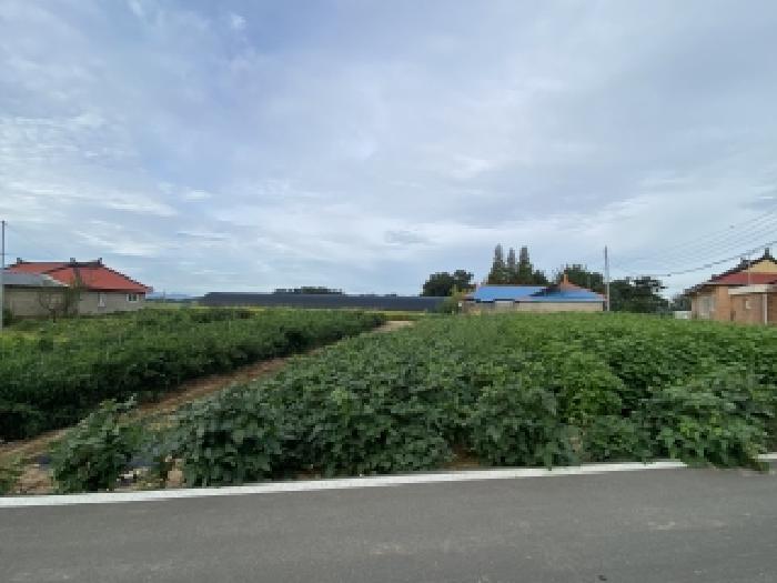 충남 당진시 우강면 대지 경매 물건 사진 2 · 2025타경834